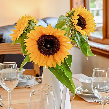 3 Bed In Sutton On Derwent 93206 Holiday home *